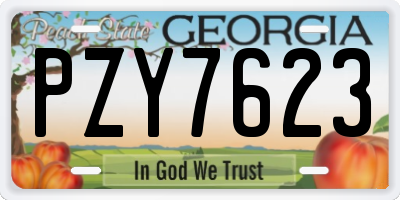 GA license plate PZY7623