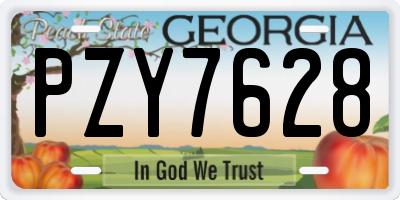 GA license plate PZY7628