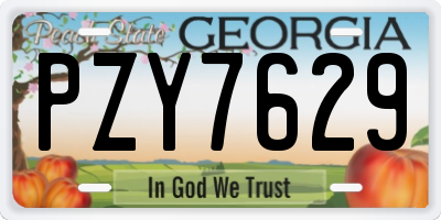 GA license plate PZY7629