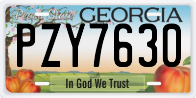 GA license plate PZY7630
