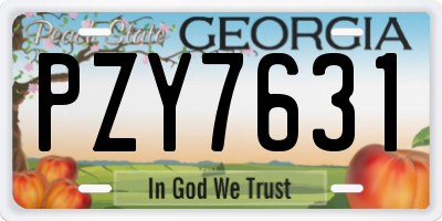 GA license plate PZY7631