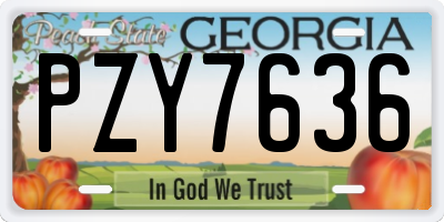 GA license plate PZY7636