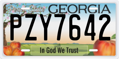 GA license plate PZY7642