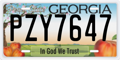 GA license plate PZY7647