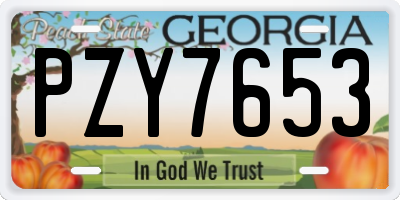 GA license plate PZY7653