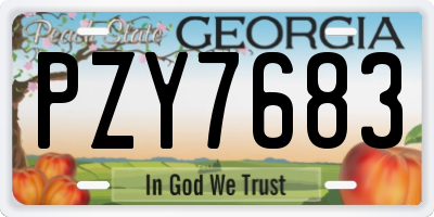 GA license plate PZY7683