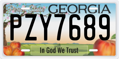 GA license plate PZY7689