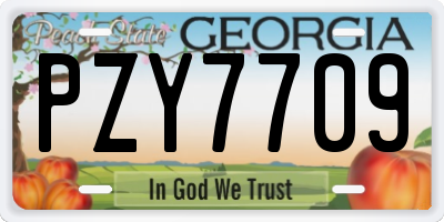 GA license plate PZY7709