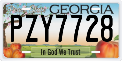 GA license plate PZY7728