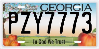 GA license plate PZY7773