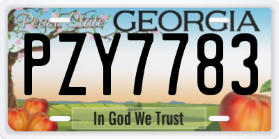 GA license plate PZY7783