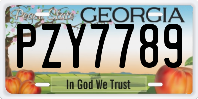 GA license plate PZY7789