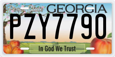 GA license plate PZY7790