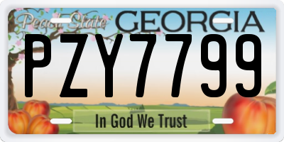GA license plate PZY7799