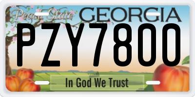 GA license plate PZY7800