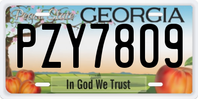 GA license plate PZY7809