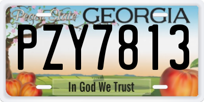 GA license plate PZY7813