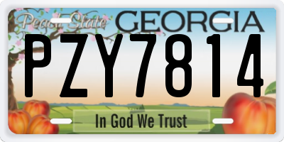 GA license plate PZY7814