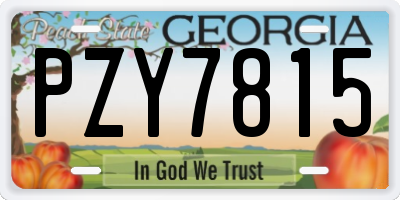 GA license plate PZY7815