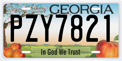 GA license plate PZY7821