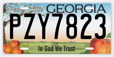 GA license plate PZY7823