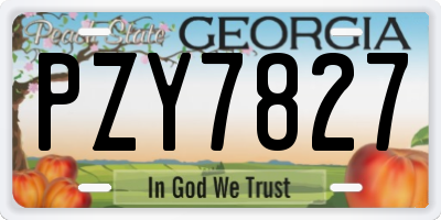 GA license plate PZY7827