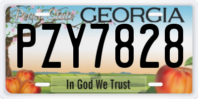 GA license plate PZY7828