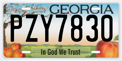 GA license plate PZY7830