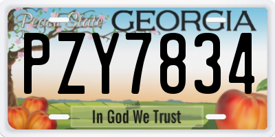 GA license plate PZY7834