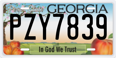 GA license plate PZY7839