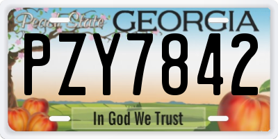 GA license plate PZY7842