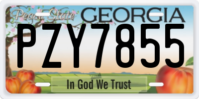 GA license plate PZY7855