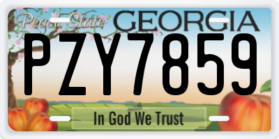 GA license plate PZY7859