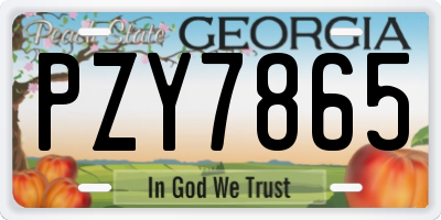 GA license plate PZY7865