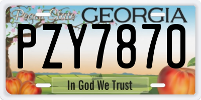GA license plate PZY7870