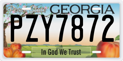GA license plate PZY7872