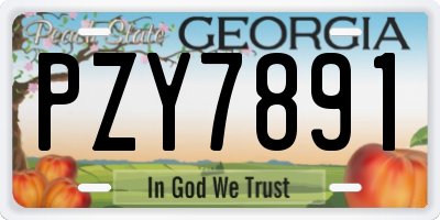 GA license plate PZY7891