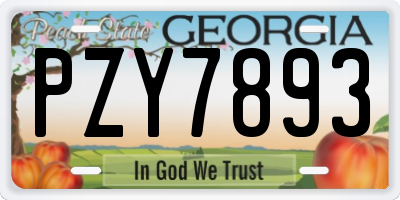 GA license plate PZY7893