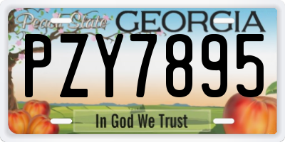 GA license plate PZY7895