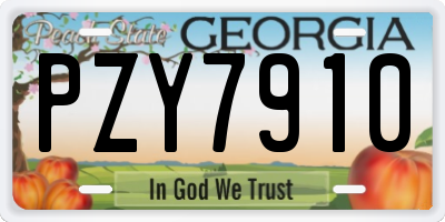 GA license plate PZY7910