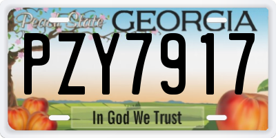 GA license plate PZY7917