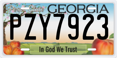 GA license plate PZY7923