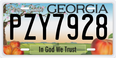 GA license plate PZY7928