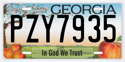 GA license plate PZY7935