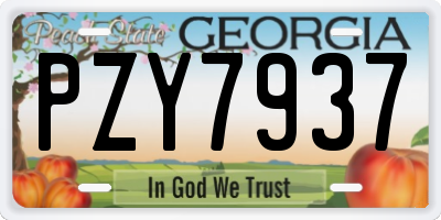 GA license plate PZY7937