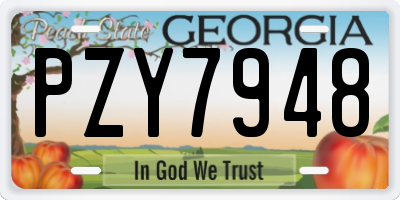 GA license plate PZY7948