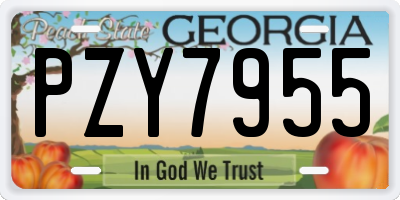 GA license plate PZY7955