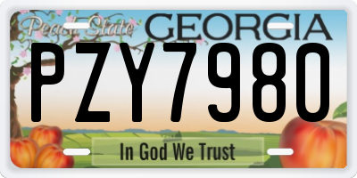 GA license plate PZY7980