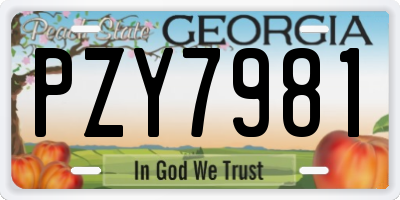 GA license plate PZY7981