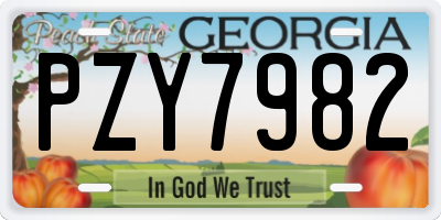 GA license plate PZY7982